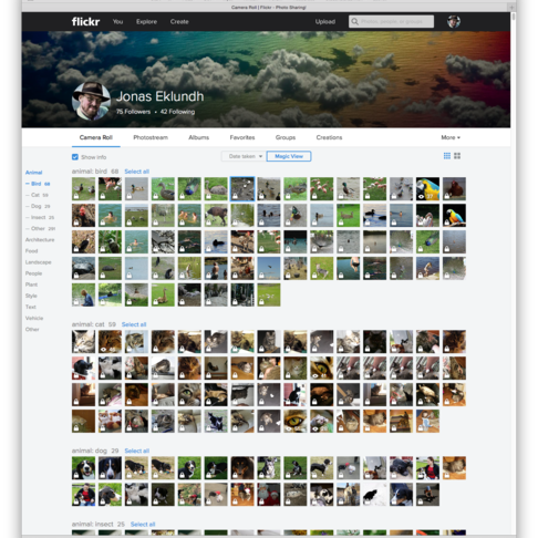 Flickr Magic View
