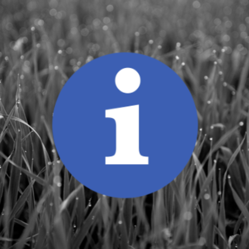 CSS filters for background images