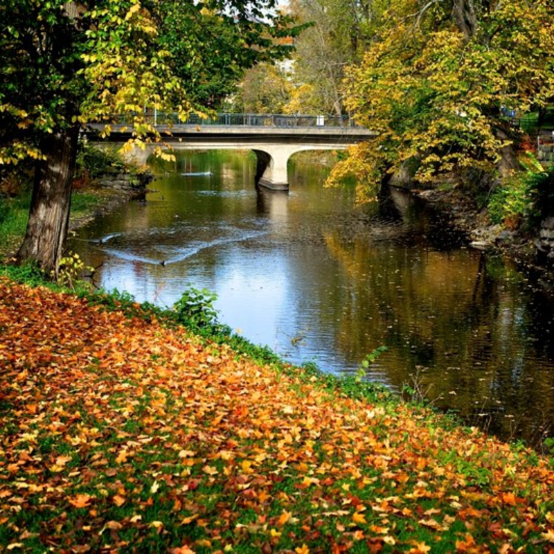 Vattnet ligger lugnt och fint